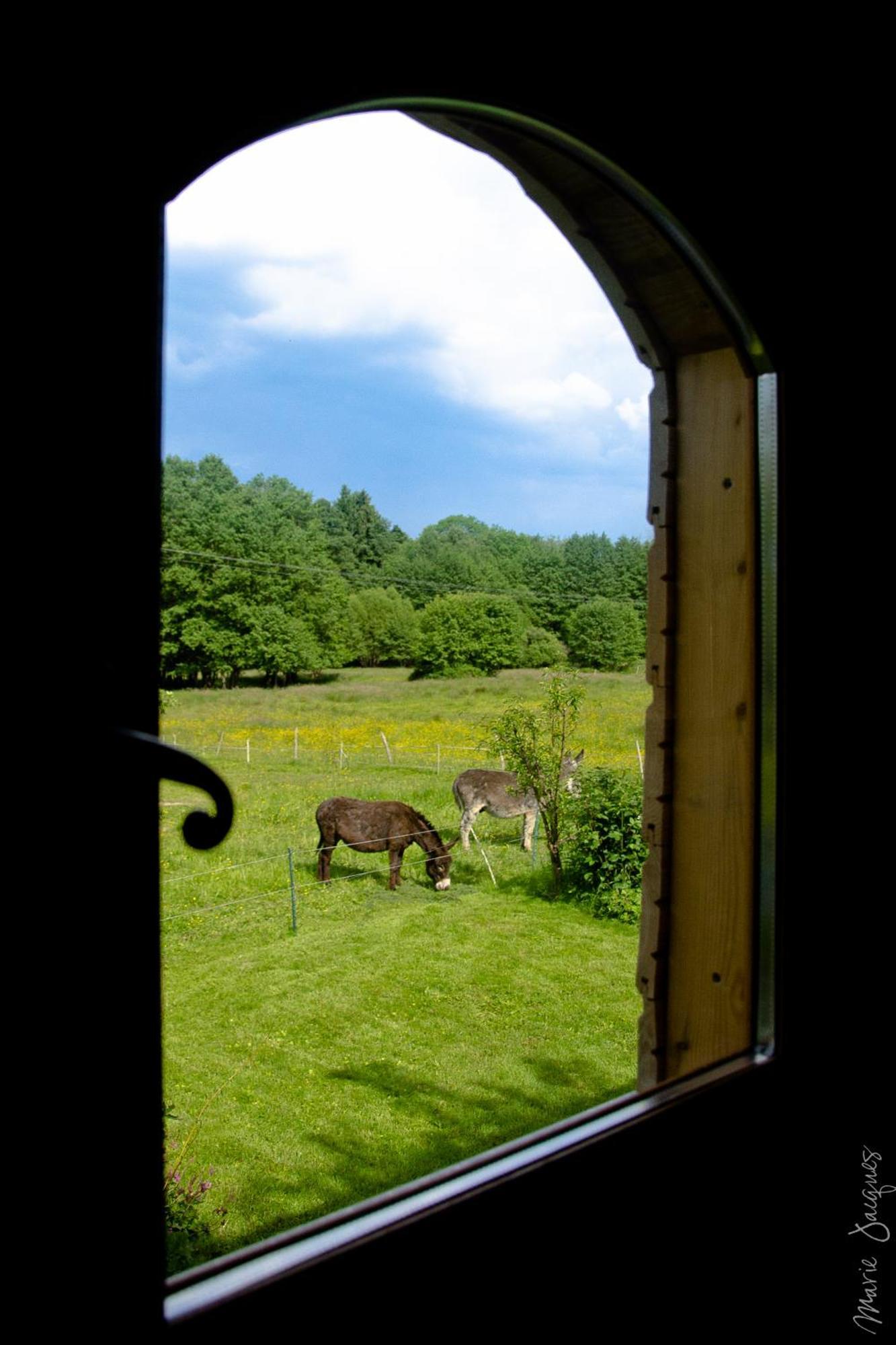 Bed and Breakfast Roulotte Le Temps De Rever Saint-Michel-sur-Meurthe Exterior foto