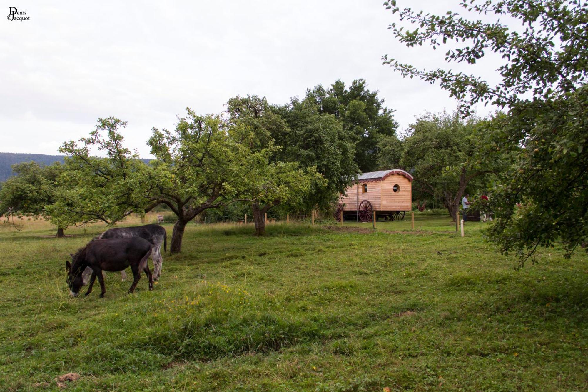 Bed and Breakfast Roulotte Le Temps De Rever Saint-Michel-sur-Meurthe Exterior foto