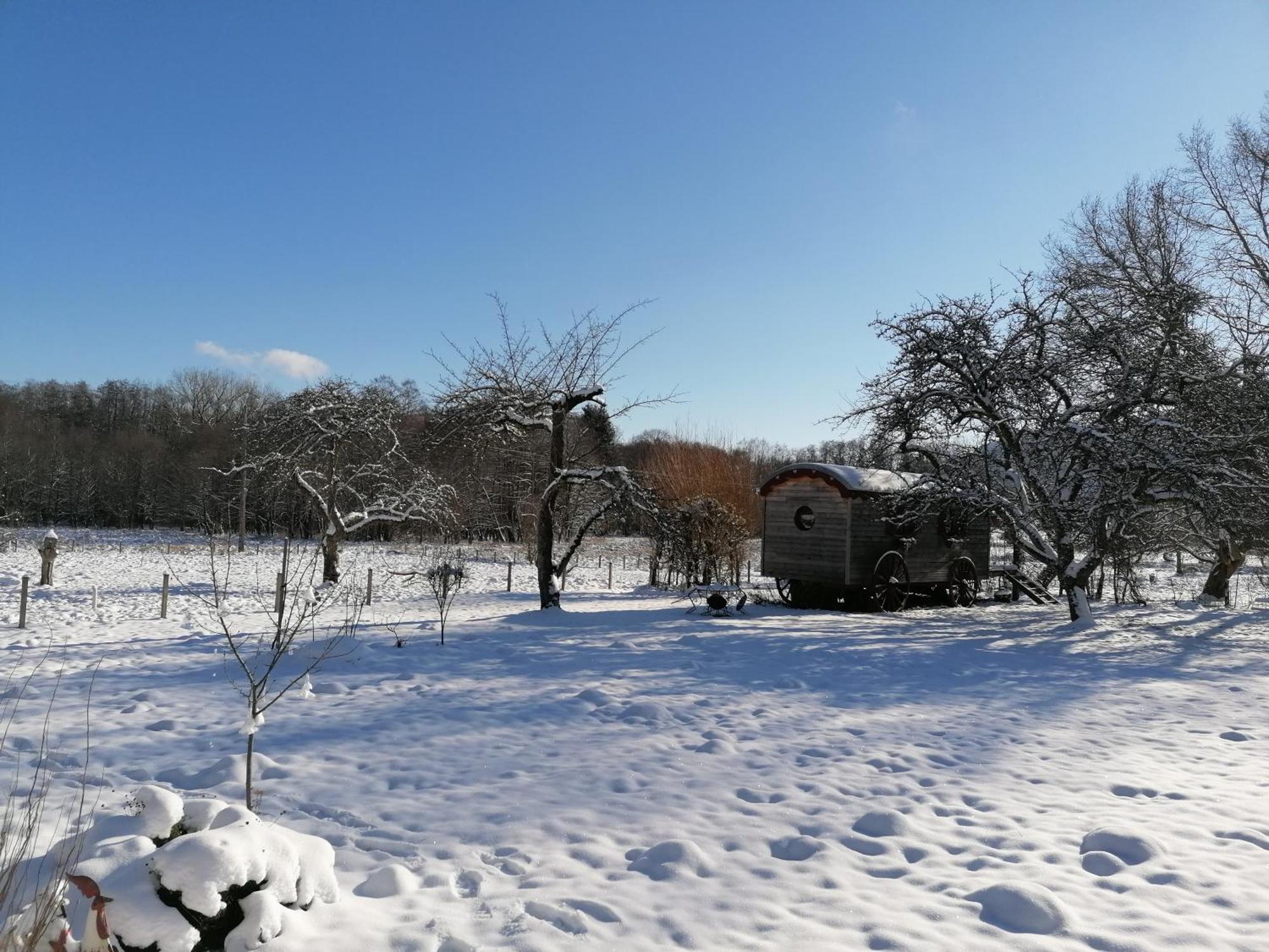 Bed and Breakfast Roulotte Le Temps De Rever Saint-Michel-sur-Meurthe Exterior foto